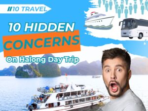 10 Hidden Concerns Travelers Have Before Booking a Halong Day Trip