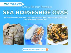 sea horseshoe crab (sam bien), a spiny, prehistoric-looking creature