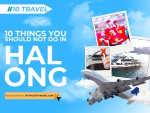 10 Things You Should Not Do in Halong Bay to Stay Safe & Respect Local Culture