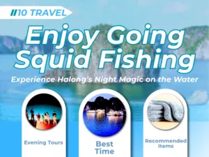 Experience Halong’s Night Magic on the Water