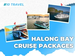 Halong Bay Cruise Packages with Vegetarian Menus — A Perfect Choice for Indian Travelers