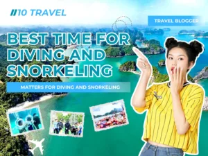 What Is the Best Time for Diving and Snorkeling in Halong Bay?