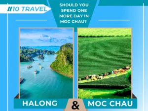 Should You Spend One More Day in Moc Chau After a Halong One Day Trip This Time?