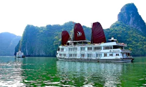 Pelican Cruise for Indian Travelers